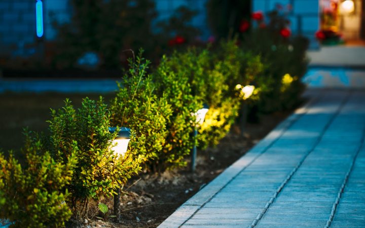 Close-up view of small landscape lights installed along a hedge bordering a paved walkway during the evening blue hour.